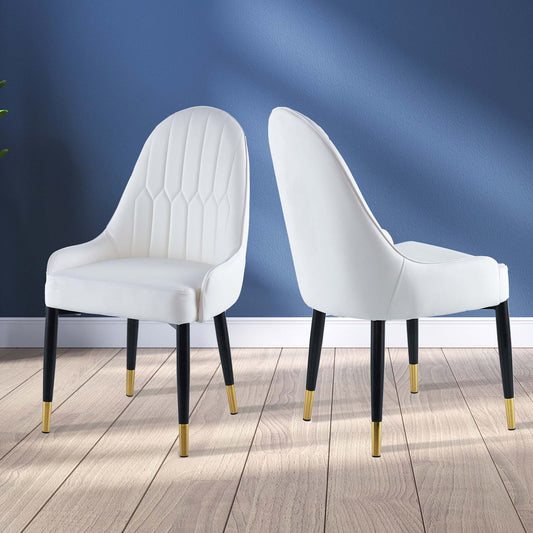 DC80 Set of 2 Modern Dining Chair